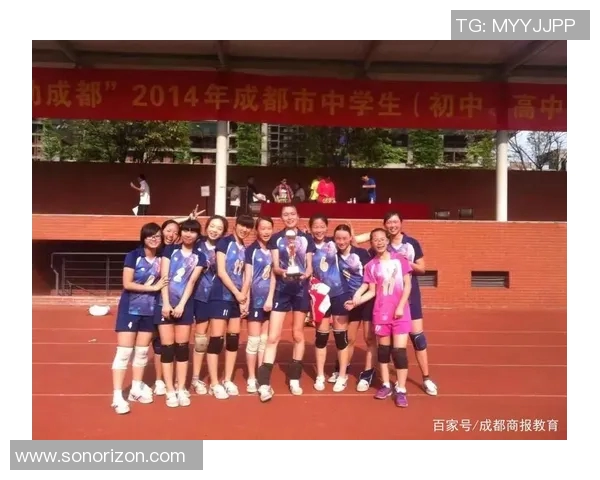 成都排球队技术对比深度解析与发展趋势探讨