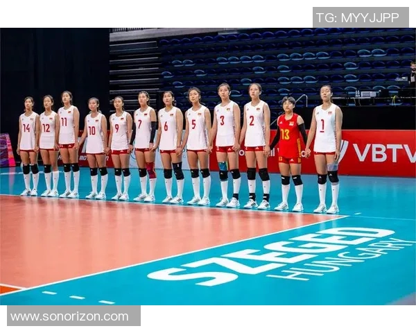 排球技术排行榜揭晓北京排球队荣登第十名展现实力与潜力