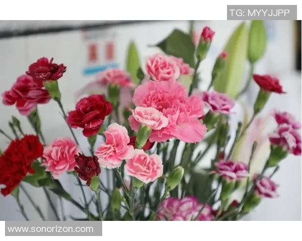 足球明星用心祝福母亲的温暖话语传递爱与感恩