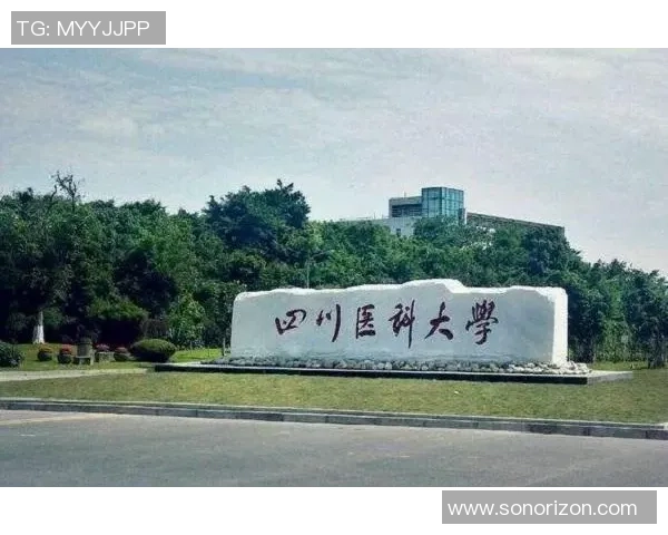 成都篮球队的崛起之路：从默默无闻到奥运舞台的辉煌历程