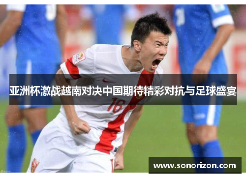亚洲杯激战越南对决中国期待精彩对抗与足球盛宴